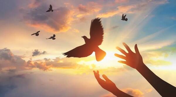 XKTY.COM-星空(中国)